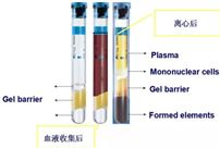 362760BD一次性使用真空静脉血样采集容器 8.0ml